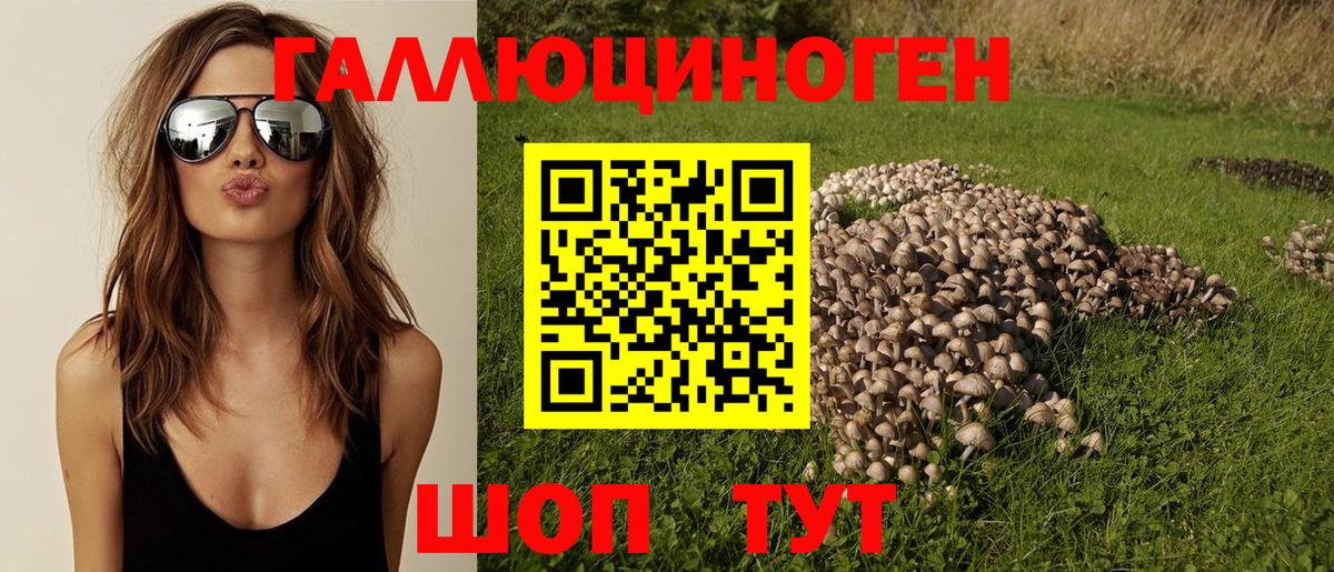 Когалым  Псилоцибиновые грибы ЛСД  Псилоцибиновые грибы GOLDEN TEACHER  Вход с VPN 